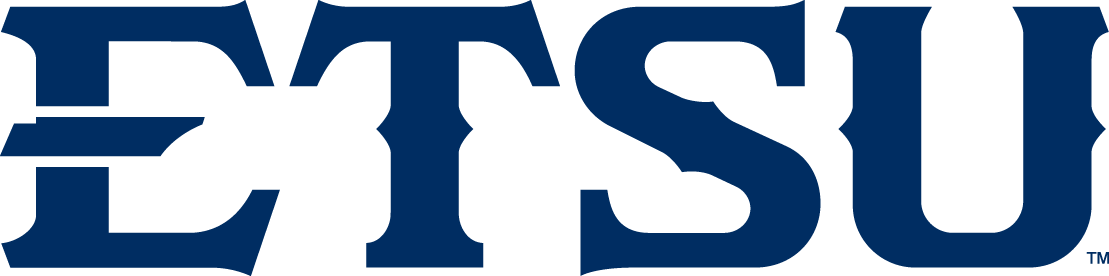 ETSU Buccaneers 2014-Pres Wordmark Logo v2 diy fabric transfer